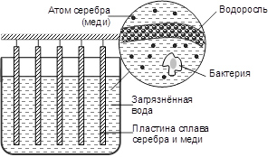 Ситуация